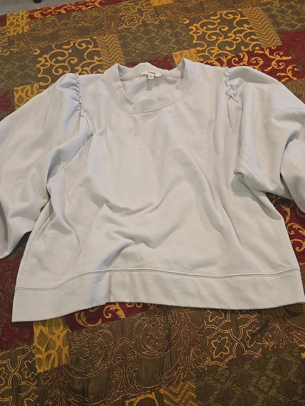 Splendid Pale Blue Puff-Sleeve Crewneck Sweatshirt